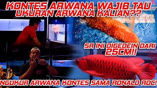 KONTES ARWANA WAJIB TAU UKURAN JELAS! & ARWANA 25CM DIGEDEIN BISA BEGINI! with Ronald RDC