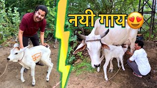 नयी गाय लेके आजाये?🥰🥰#baawalechorevlogs #cowvlog #baawalechorecows #cowlover