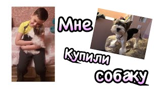 Короче говоря, мне купили собаку!!!🐶