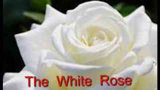 The   Floral  Dance  and  The  White  Rose