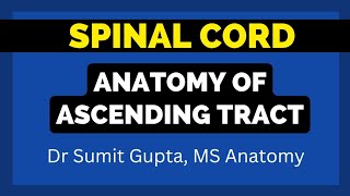 ASCENDING TRACTS OF SPINAL CORD :An Overview