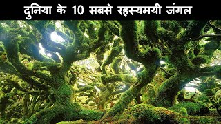 दुनिया के 10 सबसे रहस्यमयी जंगल | Top 10 Mysterious Jungle in the World