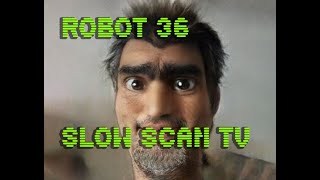 0076 Toonify SSTV Robot36