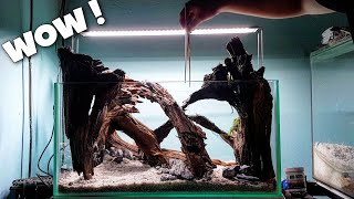 Aquascaping Design | Nano Tank 60cm - Step by Step Ep1 | 水草造景设计