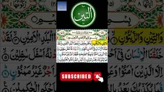 Learn Surah Teen Ayat 1 to 2 #shorts2 #youtubeshorts #viral #surahteen #eislamicchannel