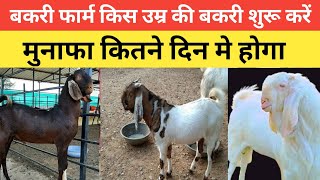 Bakri Farm Kis Age Ke Janwar Se Chalu Kare |Vimalumrao Training Classes |