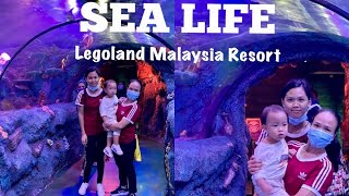 SEA LIFE LEGOLAND MALAYSIA RESORT  - an AMAZING Underwater World / ( after MCO ) Unedited Video