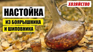 Настойка из боярышника и шиповника