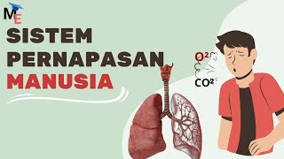 Sistem Pernapasan Manusia | Organ, Mekanisme & Kelainan - Biologi