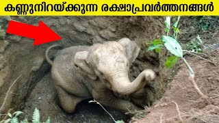 ഇത് കാണുമ്പോൾ നിങ്ങളുടെ കണ്ണ് നിറയും തീർച്ച | Inspirational Animal Rescues | Emotional-Inspiration