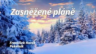 Zasněžené pláně  -  František Horák Pekelník