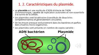 Genetique ACIDE NUCLEIQUE : organisation du génome humain