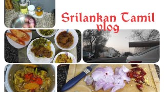 Srilankan Tamil vlog / Today's lunch menu / Simple beef curry / eerapilaka curry