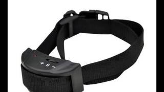 Our K9 Black Dog No Bark Collar