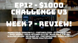 Week Seven Results and Review! - EP12 $1000 Challenge v3