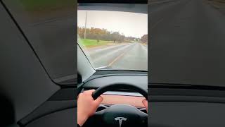 Tesla avoids hitting 2 deer! 😨