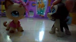 LPS || Love Story || Episode 2