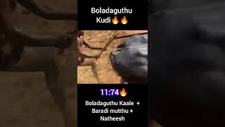 Boladaguthu Kaale + Baradi Mutthu 11.74🔥