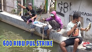 BORONG KOLAM KECIL IKAN MELIMPAH.STRIKE TERUS‼️@edwanfishing1038