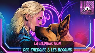 L'énergie & les besoins canins (Extrait de la nouvelle Masterclass)