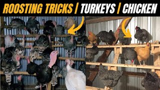 Turkey Roost : Turkey Roosting Bars Ideas To Help Your Flock Roost