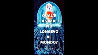 Qual'è l'Animale Più Longevo al Mondo?