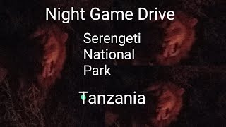 Special Night Game Safari Serengeti Park Tanzania spotted  lions wildebeest zebra elephant and hippo