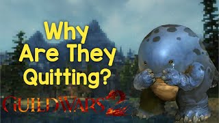 Why Do Players Quit Guild Wars 2?