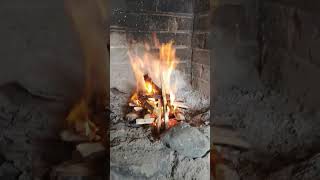 Making cheese baguette in a campfire! // Arthurs Pass, New Zealand #shorts