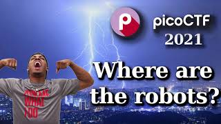 PicoCTF Walkthru [28] - Where are the robots?