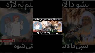 da zalim injam | molana idress #pashtobayan #shorts #molanaidreespashtobayan