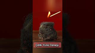 Deney: Çelik Yün #shorts