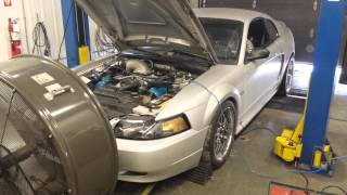 2000 mustang gt build