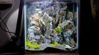 Misty Mountains Aquascape