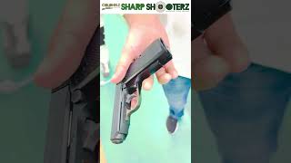 Walther PPK Air Pistol in Action