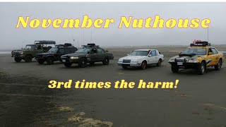 November Nuthouse ,3rd times the harm!