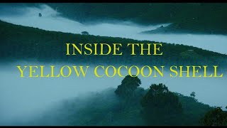 Inside the Yellow Cocoon Shell (Dir. Phạm Thiên Ân)