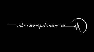 Vibrasphere - Forest Fuel