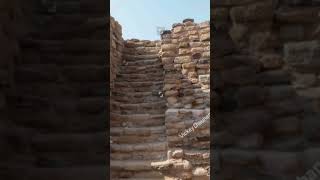 sindhu ghati sabhyata|Indus valley civilization and culture|Indian culture chapter-3ncert #shorts