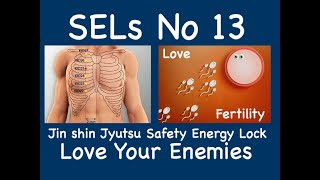 SELs-13 #infertility ,#impotency ,#Breast Lump ,#Uterine Issue -Jin Shin Jyutsu Safety Energy #lock