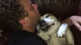 Man vs Dog Snoring Competition