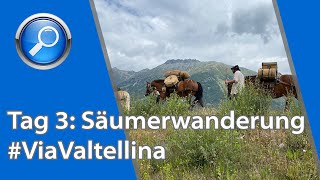 Tag 3: Säumerwanderung von Zuoz – Samedan – Morteratsch