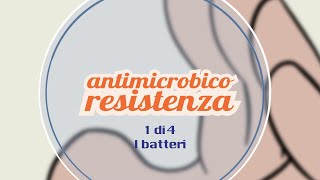 Antimicrobico resistenza – I batteri