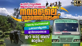 Pollachi to Navamalai TNSTC Bus Trip via Aliyar Dam | ആദിവാസി ഗ്രാമമായ നവമലയിലേക്ക് | Navamala Bus