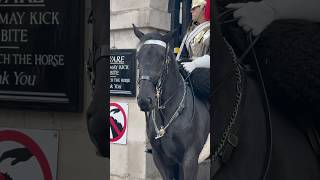 Royal Beauty at Horse Guards❤️ #youtubeshorts  #horseguardsparade  #thekingsguard