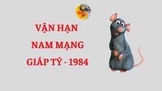 Nam Tuổi Giáp Tý 1984 - Tử Vi & Vận Hạn 6 Tháng Đầu Năm Nhâm Dần 2022