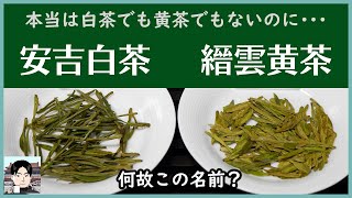 名前が実にまぎらわしい！安吉白茶と縉雲黄茶、本当は何茶なの？