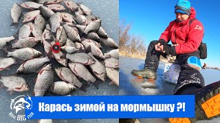 Карась зимой на мормышку ?!