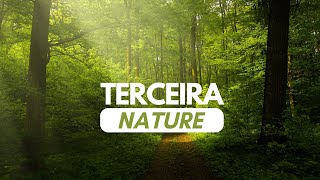 Açores Terceira