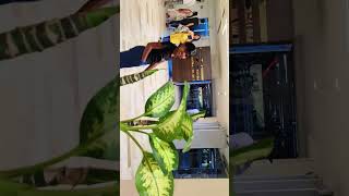 Lulu mall s1 #creativelifesdvlogs #lulumall #lucknow #viral #trending